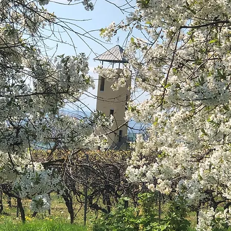 Jakobsruhe - Ferien Im Weinparadies Vendersheim