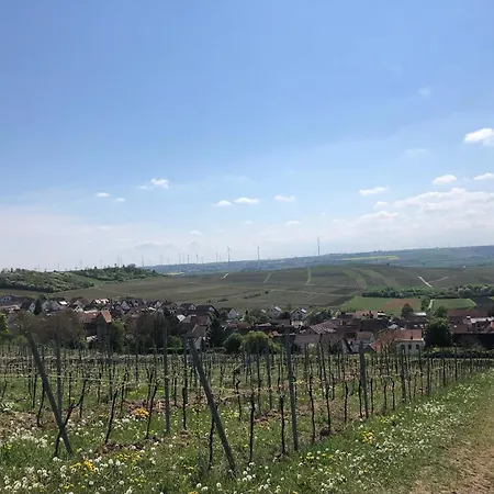 Apartment Jakobsruhe - Ferien Im Weinparadies Vendersheim