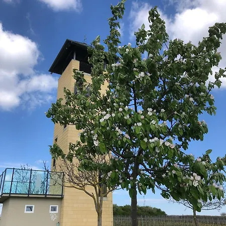 Jakobsruhe - Ferien Im Weinparadies
