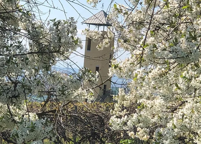 Jakobsruhe - Ferien Im Weinparadies Vendersheim