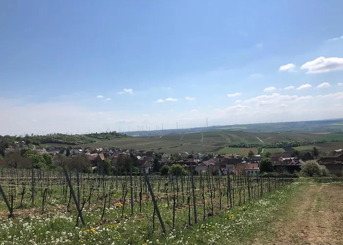 Jakobsruhe - Ferien Im Weinparadies * Vendersheim
