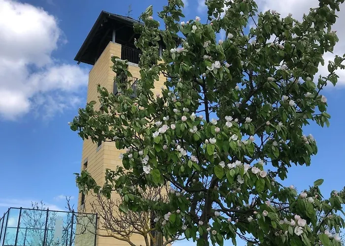 Apartment Jakobsruhe - Ferien Im Weinparadies *